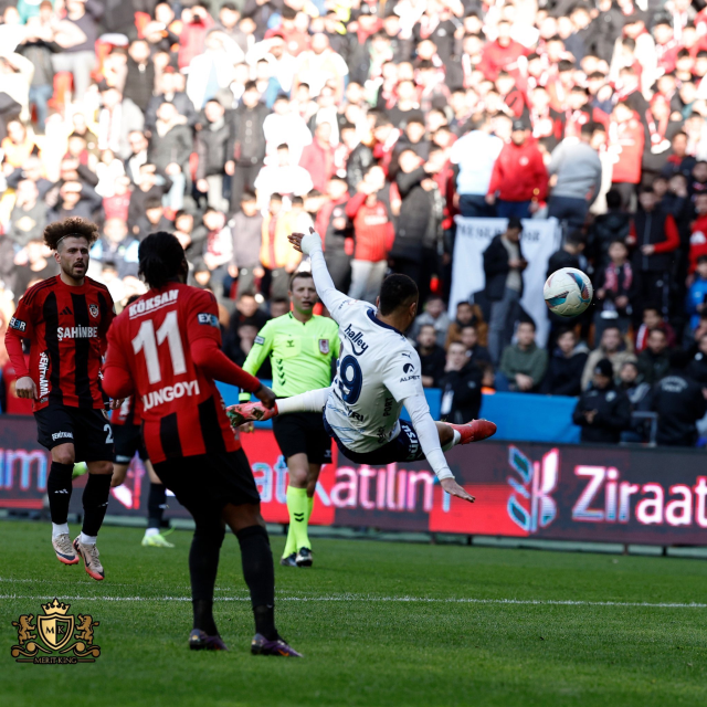 Kanarya güle oynaya turladı! Fenerbahçe Ziraat Türkiye Kupası'nda çeyrek finalde