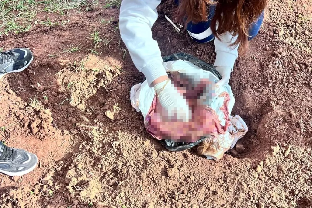 Şırnak\'ta Yeni Doğan Bebek Cinayeti