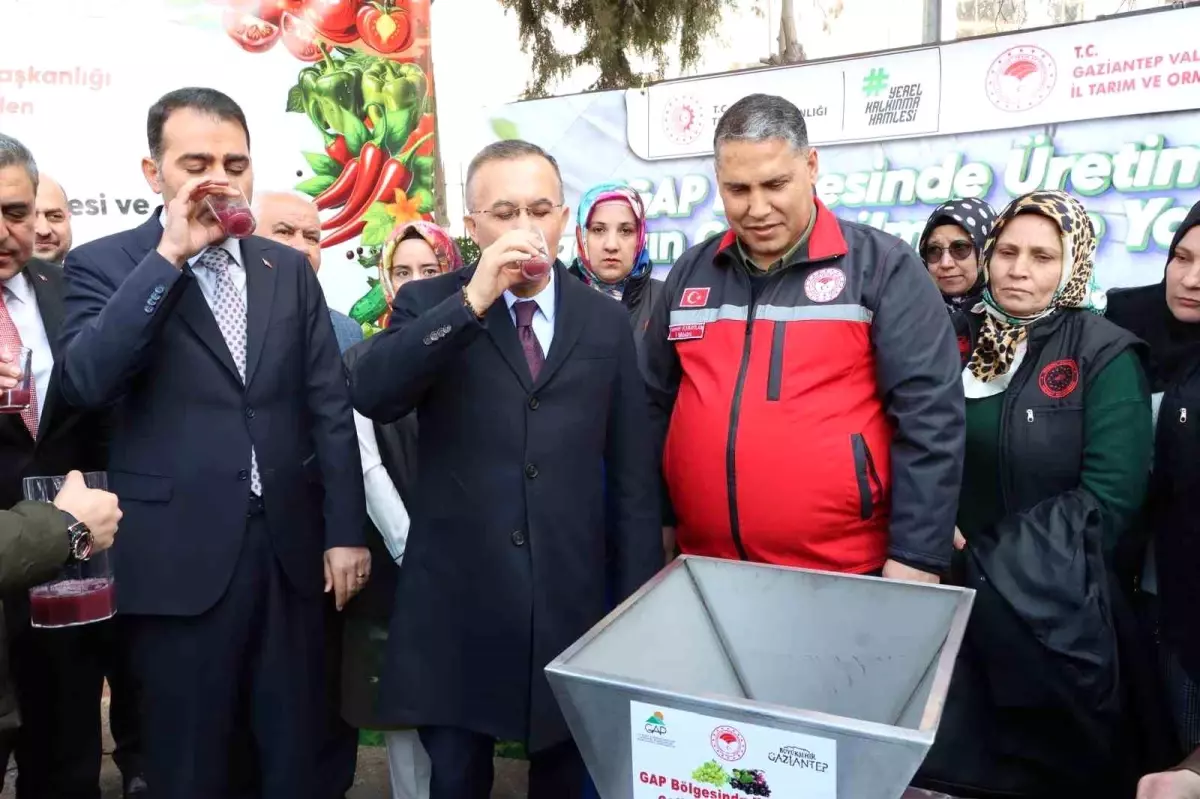 Gaziantep\'te Bağcılığa Destek Projesi: 185 Çiftçiye Tarım Aletleri Dağıtıldı