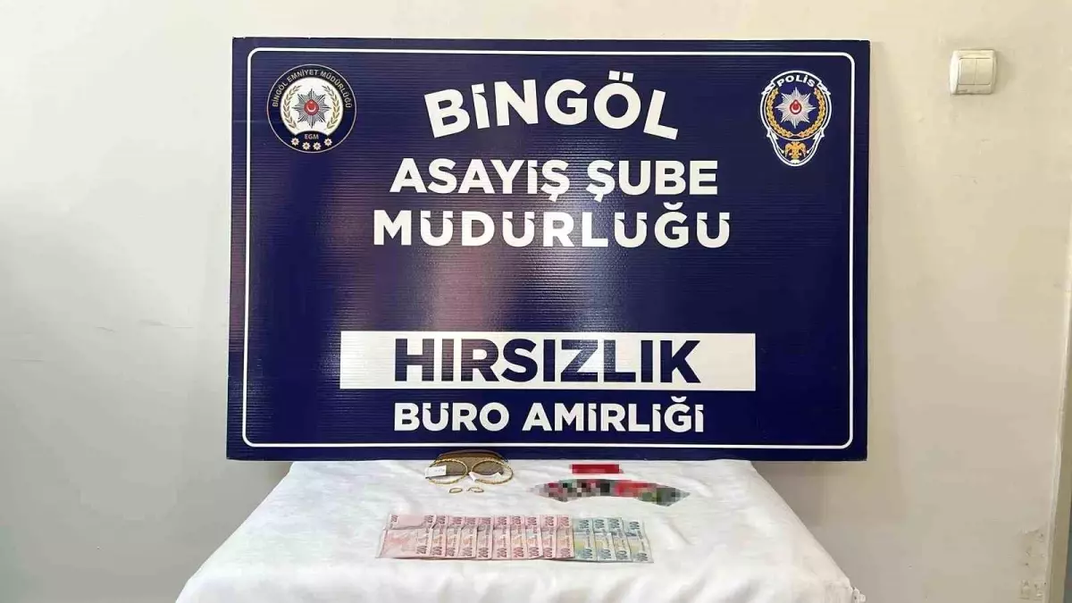 Bingöl\'de Hırsızlar Yakalandı