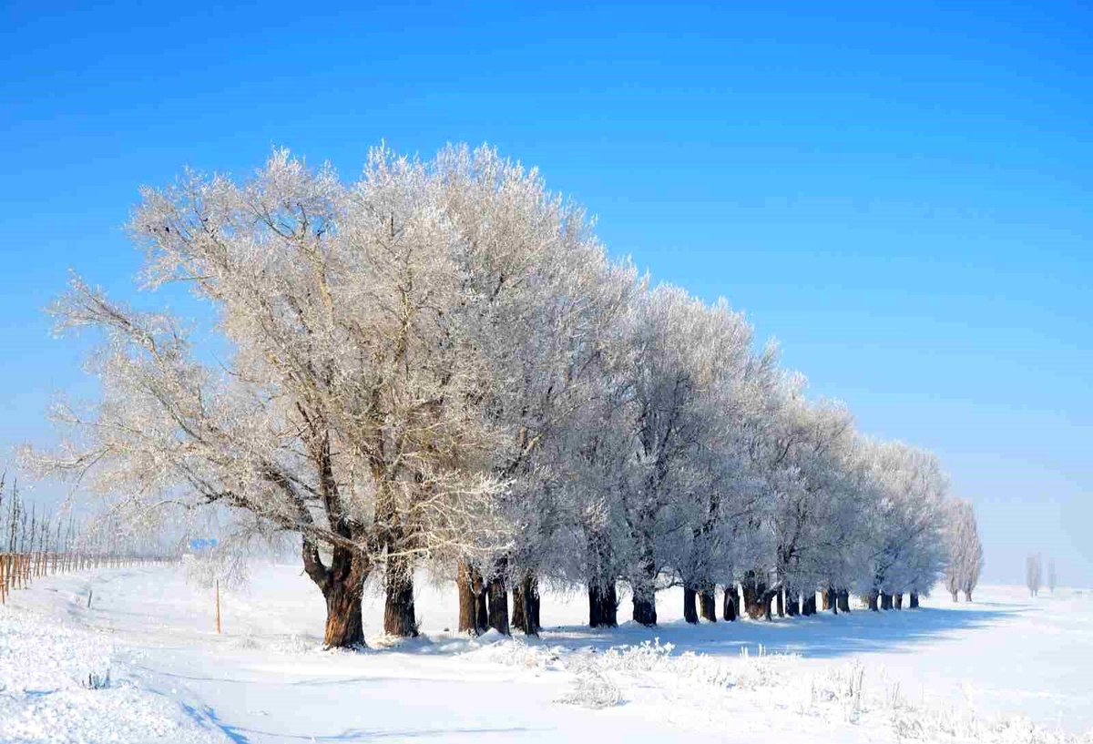 Erzurum\'da Soğuk Hava ve Buzlanma Uyarısı