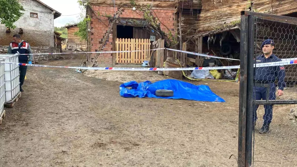 Kastamonu\'da Muhtar Cinayeti Davası Devam Ediyor