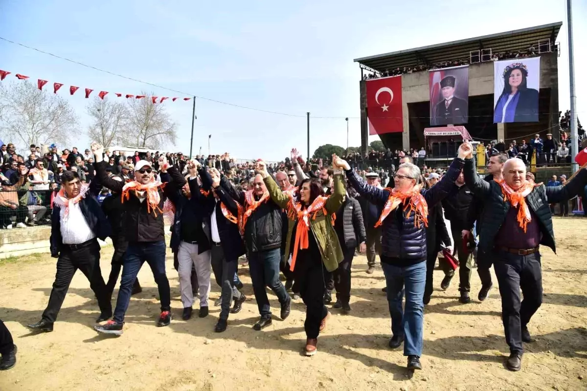 Atça Mahallesi\'nde Geleneksel Deve Güreşi Festivali Coşkuyla Gerçekleşti