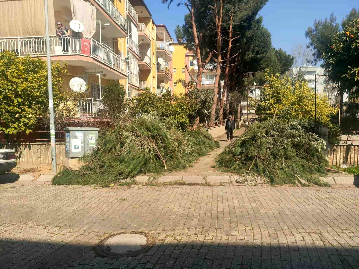 Efeler Belediyesi\'nden Budama Atıkları Uyarısı