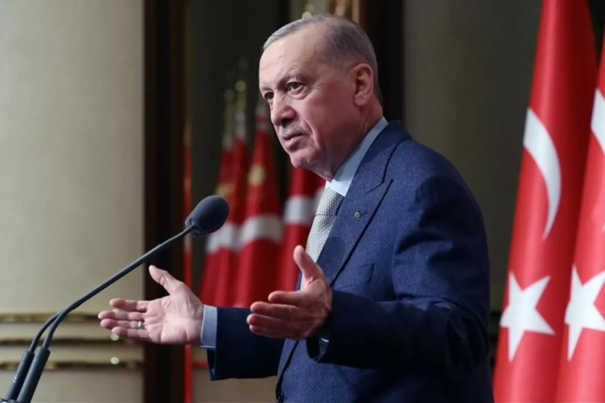 2 yaşındaki Rana\'nın ölümünün ardından Erdoğan\'dan sokak hayvanlarına ilişkin mesaj