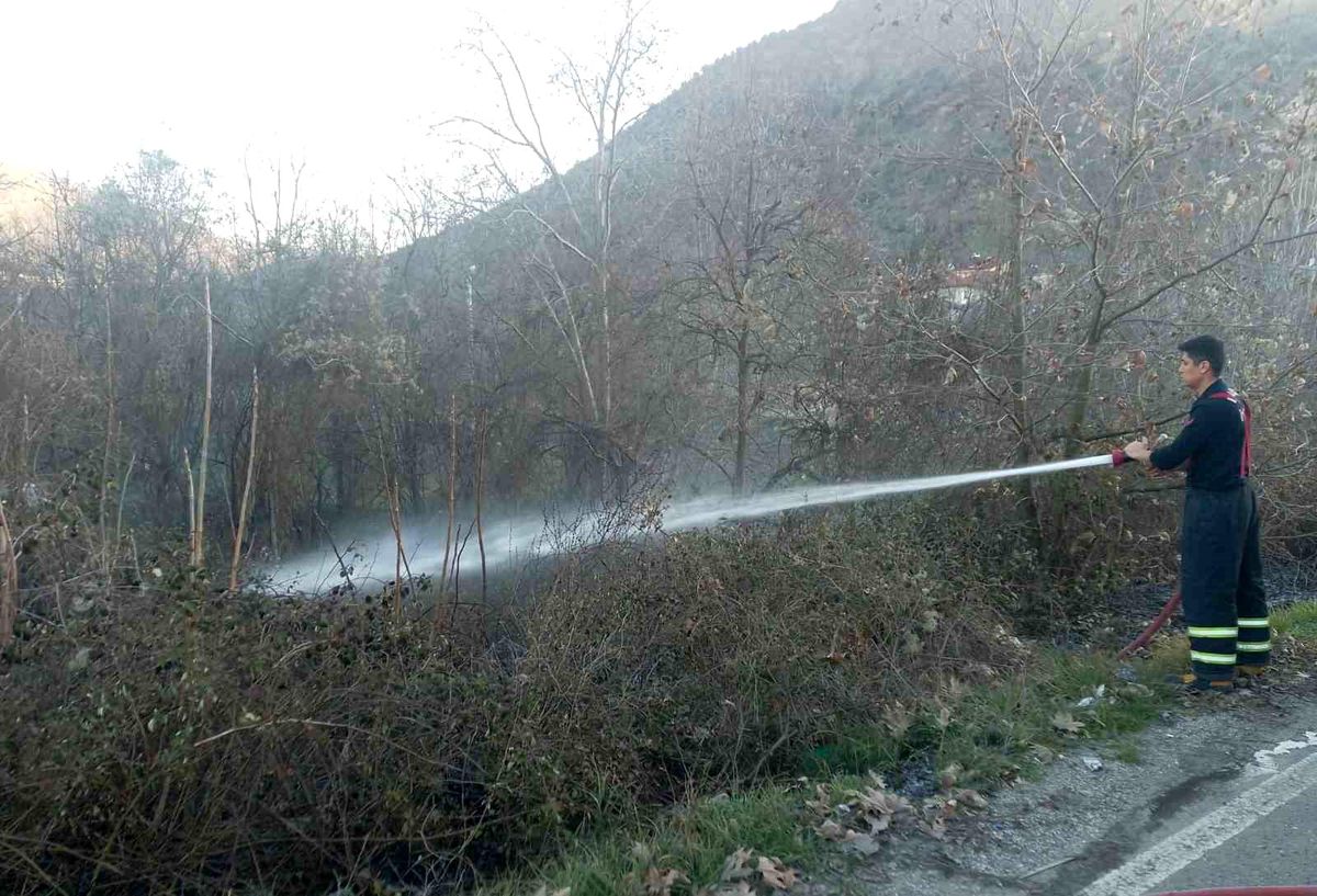 Bilecik\'te Arazi Yangını Kısa Sürede Söndürüldü
