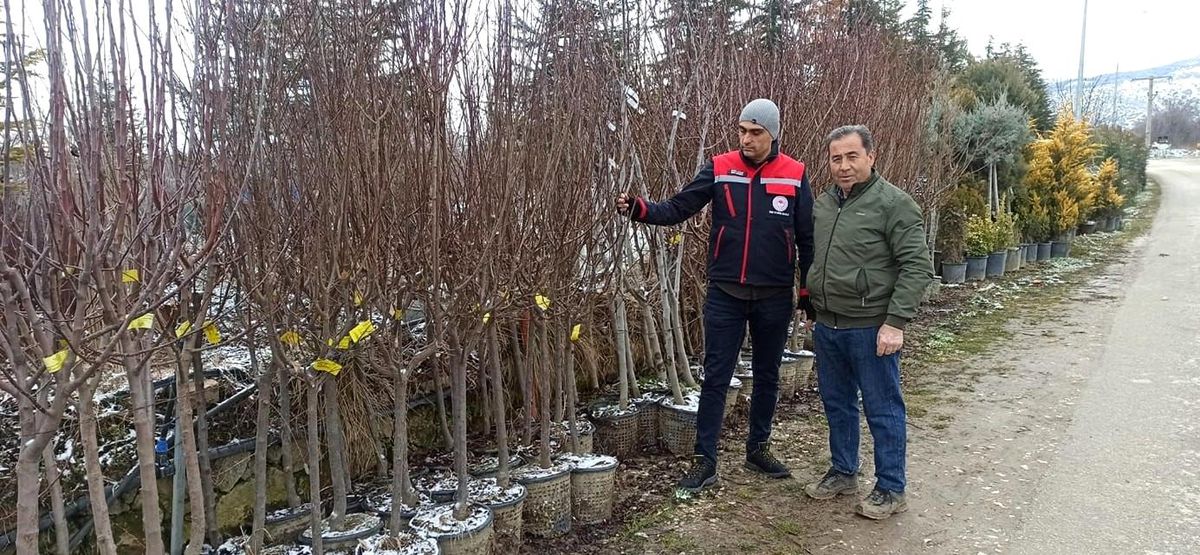 Fidan Satış Noktalarına Denetim