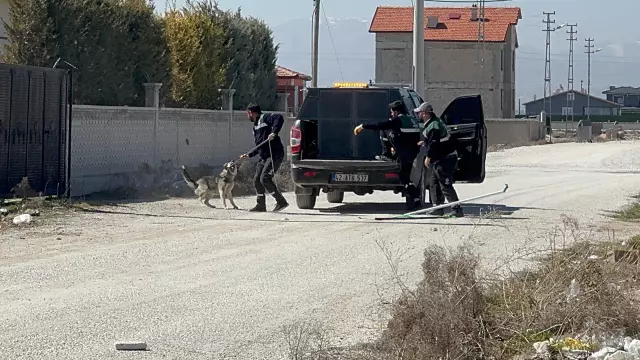 Konya'daki Sokak Köpeği Saldırısı: 2 Yaşındaki Suriye Uyruklu Çocuk Hayatını Kaybetti