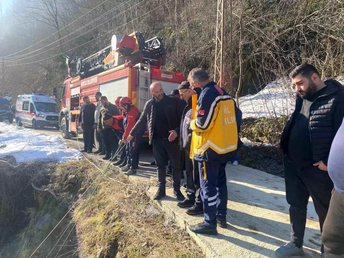 Artvin\'de Dereye Düşen Vatandaş Kurtarıldı