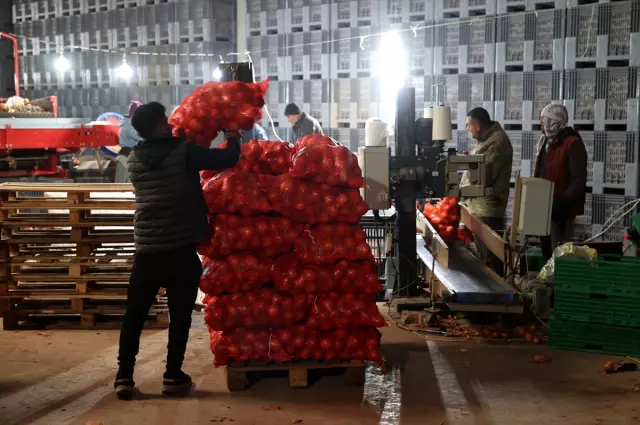 Bir girişimci devlet desteğiyle kurduğu paketleme tesisinde 30 kişiyi istihdam ediyor