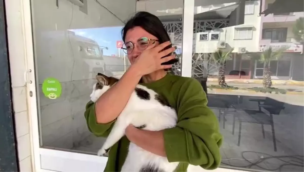 Kedi Kurtarma Hikayesi