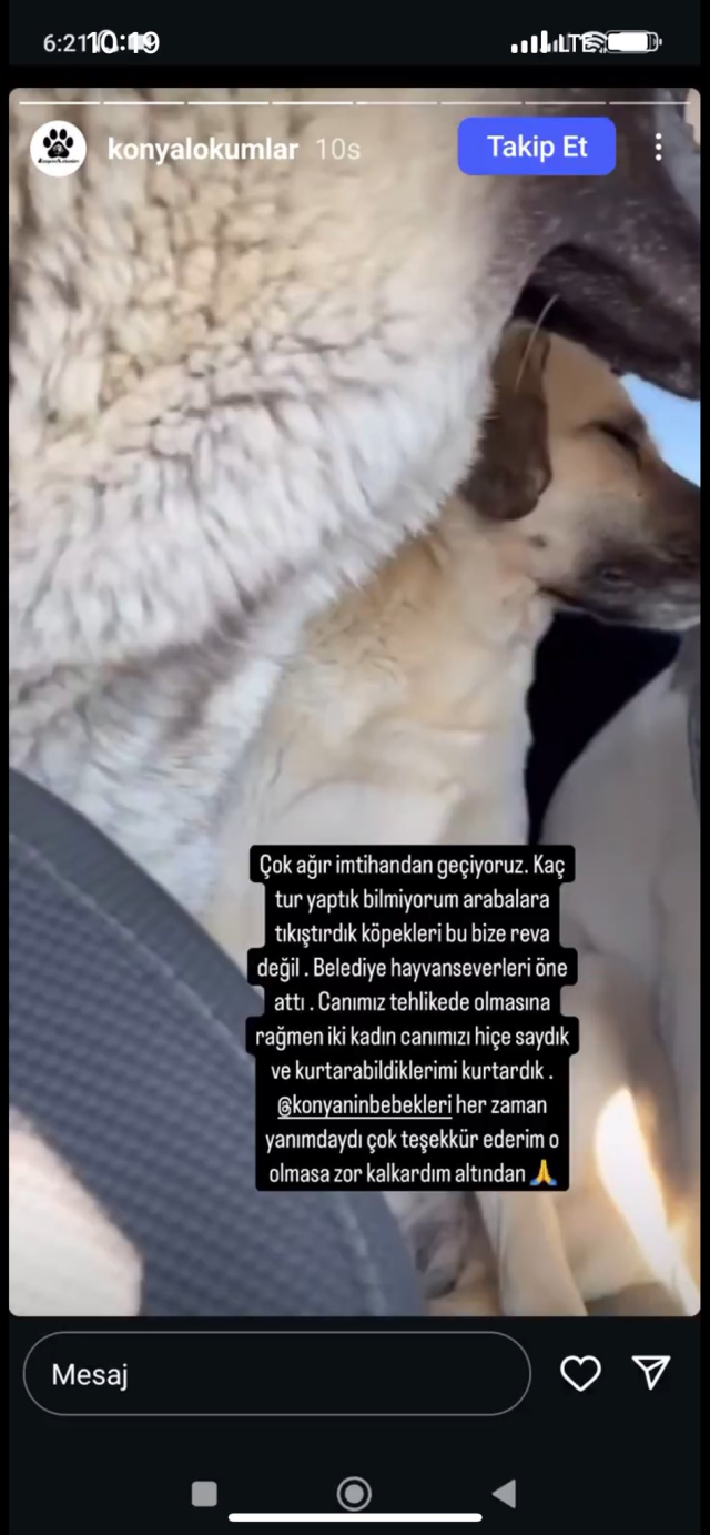 Konya'da Sokak Köpekleri Tarafından Parçalanan 2 Yaşındaki Kızın Vahşi Ölümü