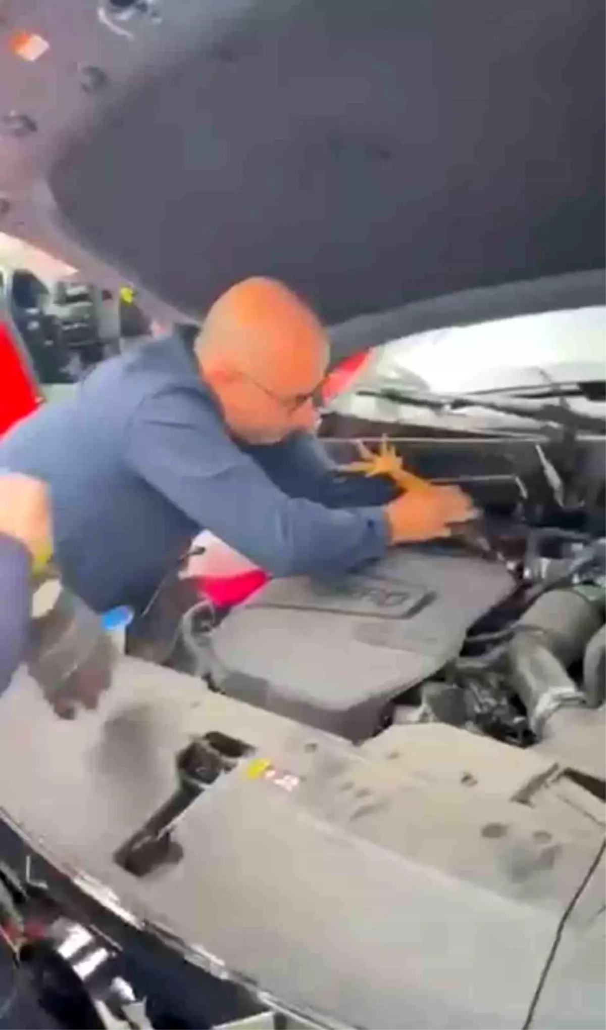 Gemlik\'te Aracın Motoruna Sıkışan Horoz Kurtarıldı