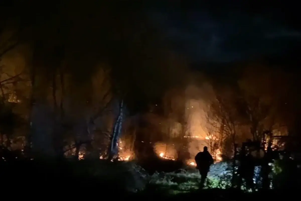 Bursa\'da yangın! 50 dönümlük alan kül oldu