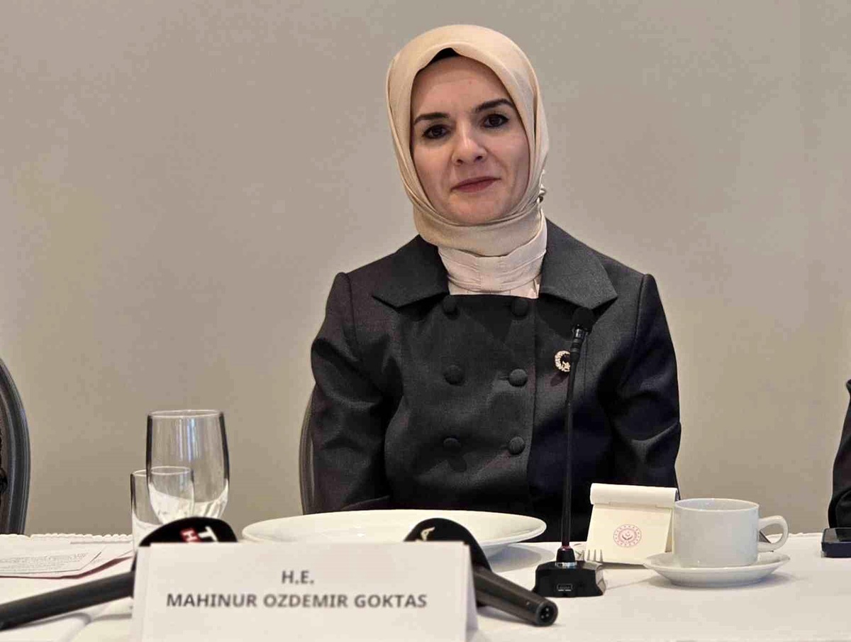Bakan Göktaş: Gazze İçin Kadın ve Çocuk Hakları Vurgusu