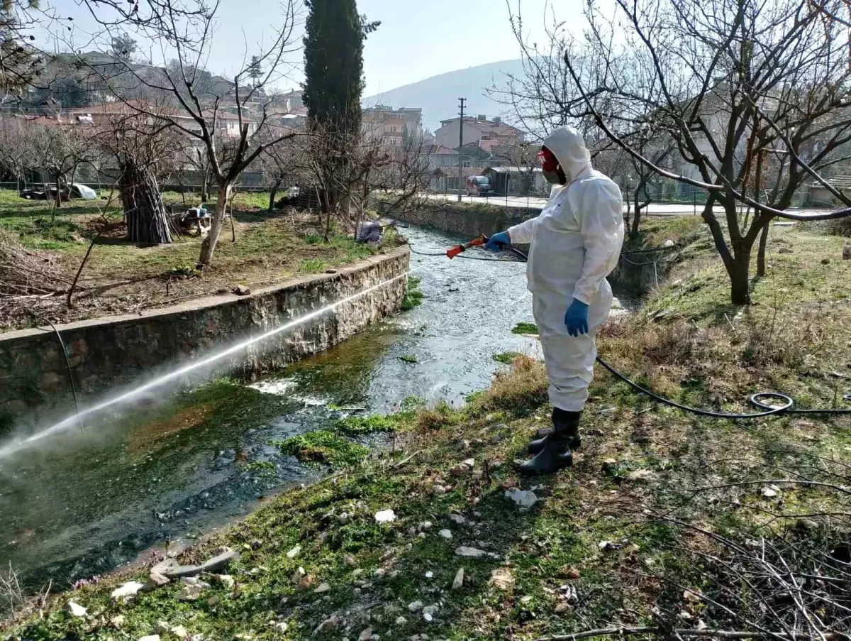 Bilecik\'te Sivrisineklerle Mücadele İçin İlaçlama Çalışmaları Devam Ediyor