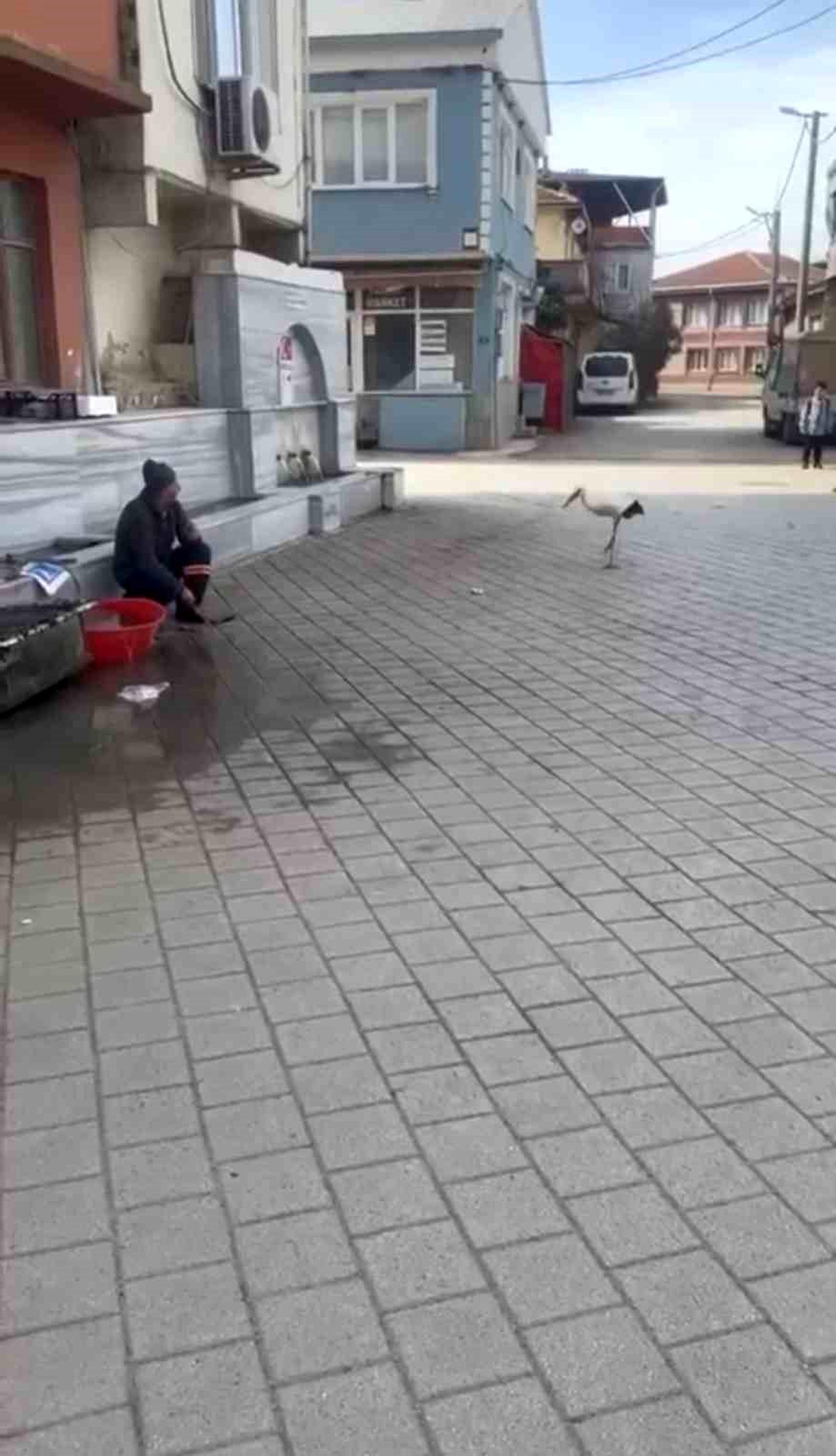 Yusuf Dayı ve Leylek Bilal\'in Buluşması