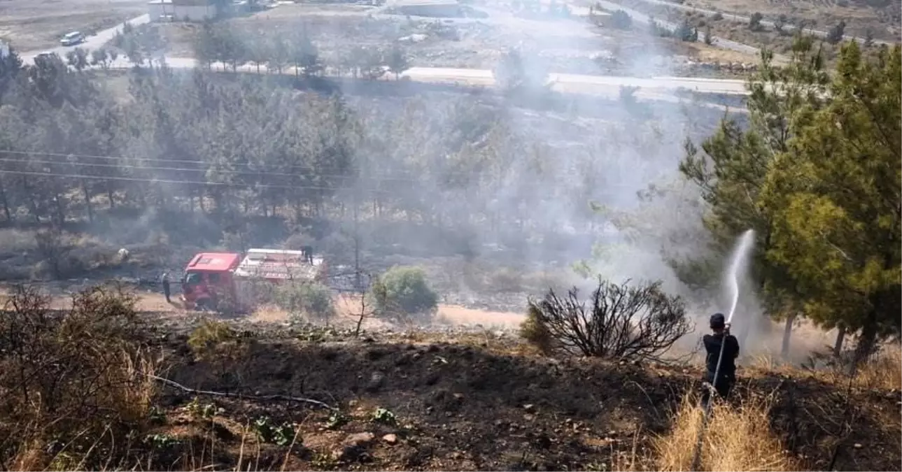 Hatay\'da Ağaçlık Alandaki Yangın Kontrol Altında