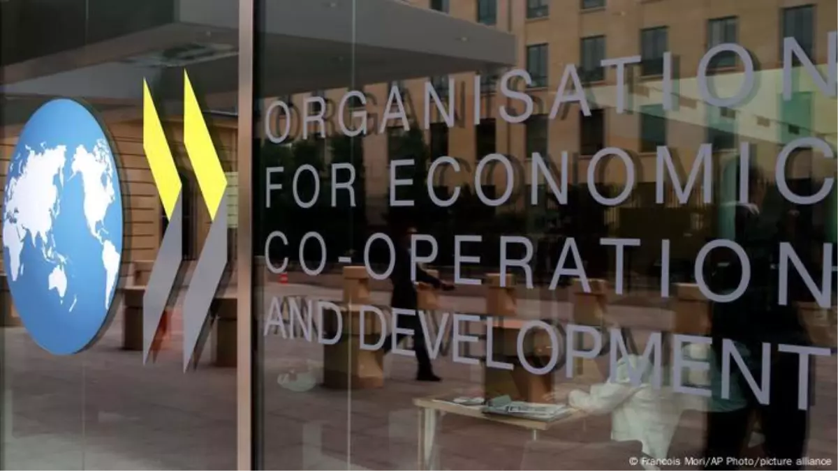 OECD, Küresel Büyümeyi Düşürdü