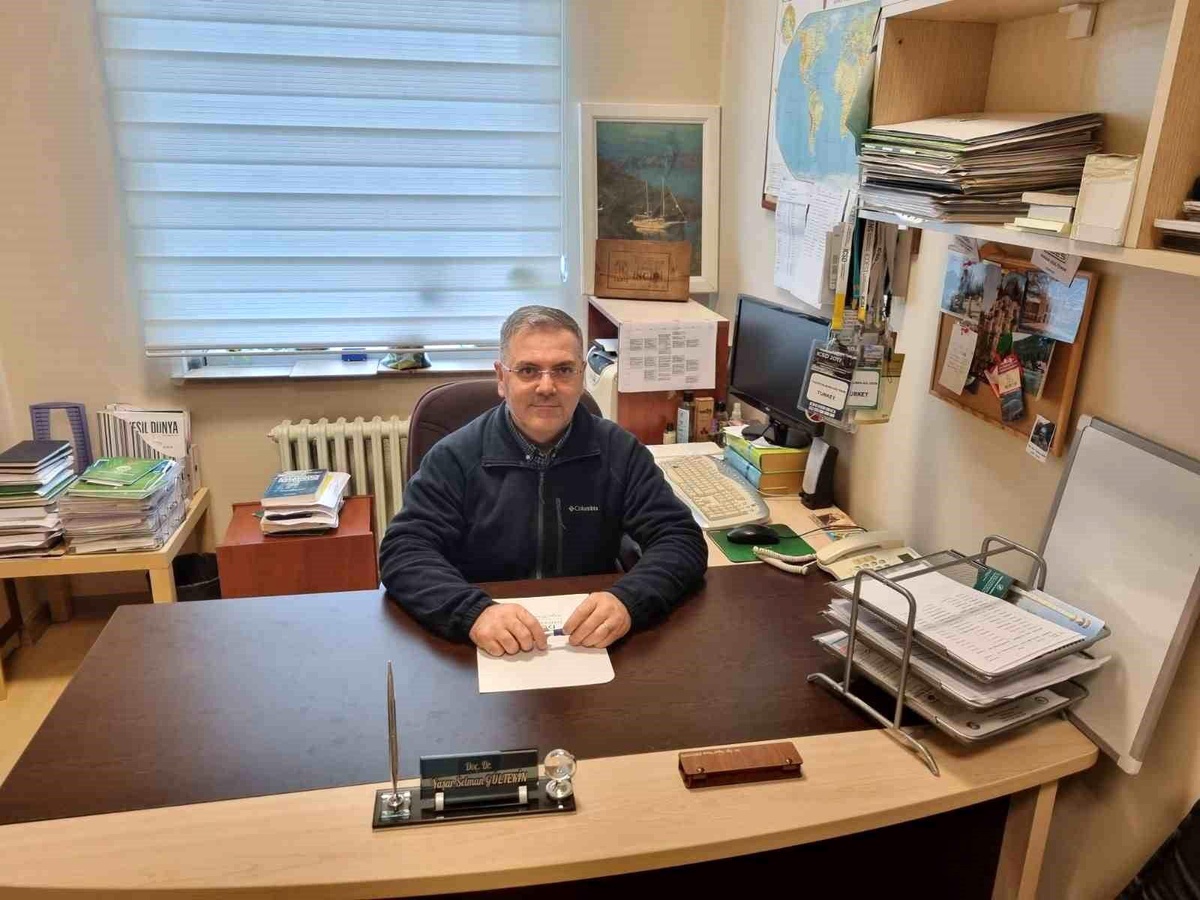 Ormanların Korunması İnsanlık İçin Zorunludur