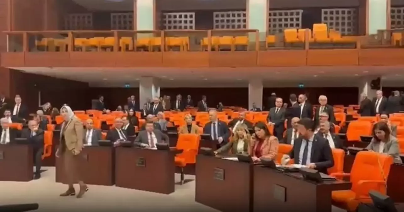 CHP\'li Başarır\'dan AK Partili Zengin\'e: Özlem hanım nereye, oy kullansanıza