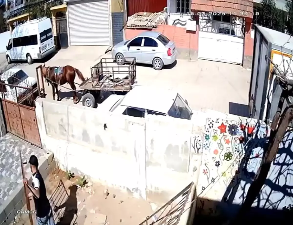 Reyhanlı\'da Hırsızlık Anları Güvenlik Kamerasında