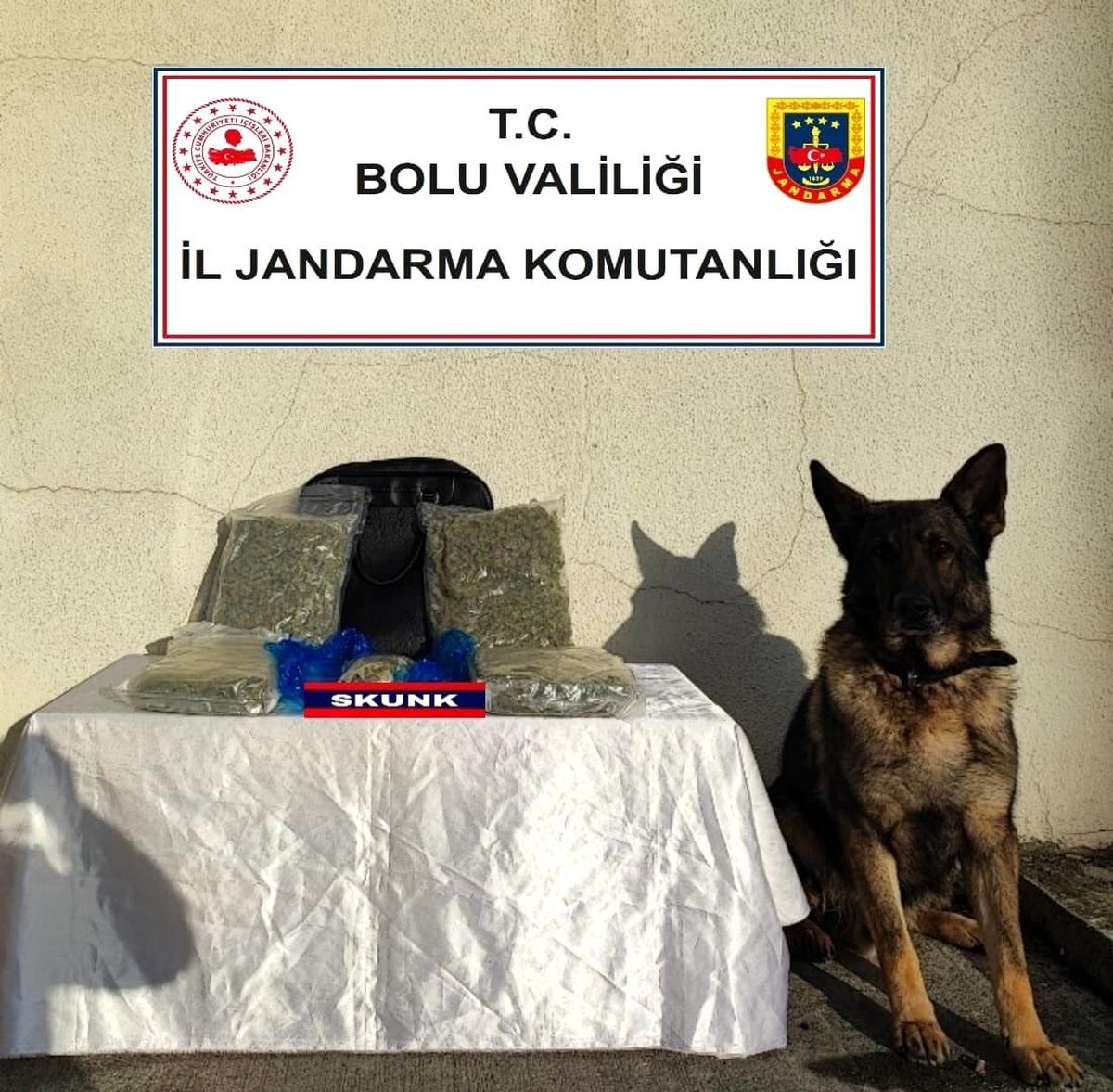 Bolu\'da Otobüste Skunk Ele Geçirildi