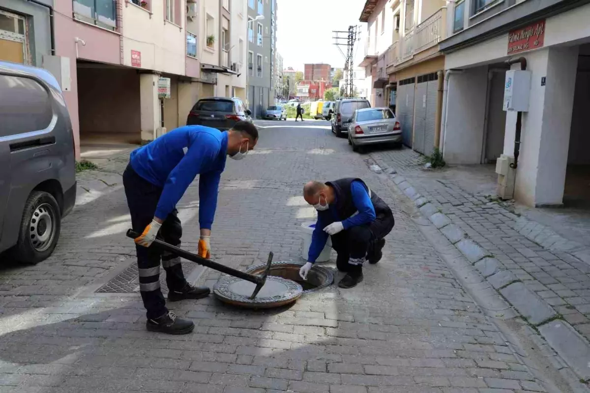 Efeler Belediyesi\'nden Kemirgenlere Karşı Kapsamlı Mücadele