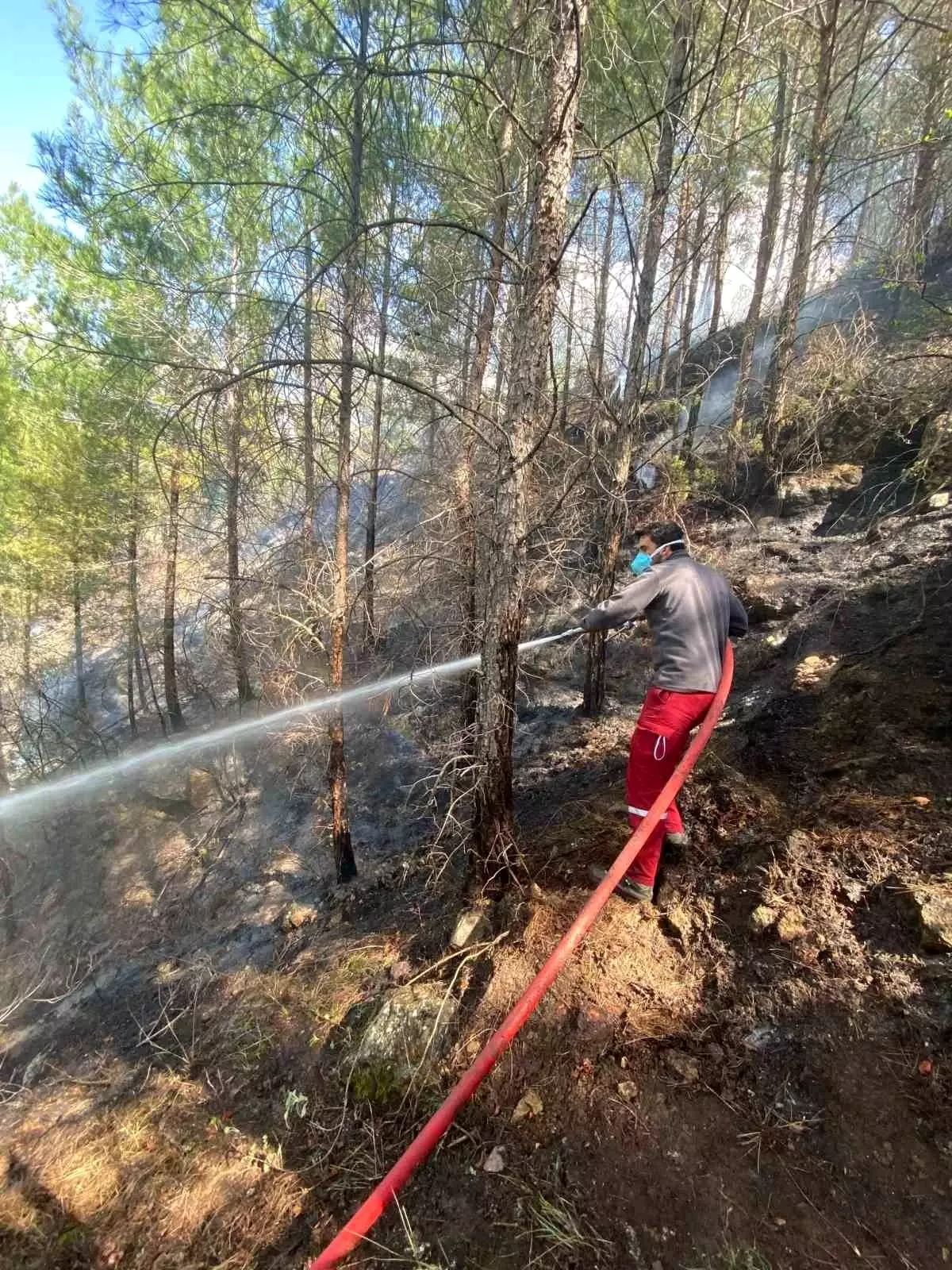 Antalya\'da Orman Yangını Kontrol Altına Alındı