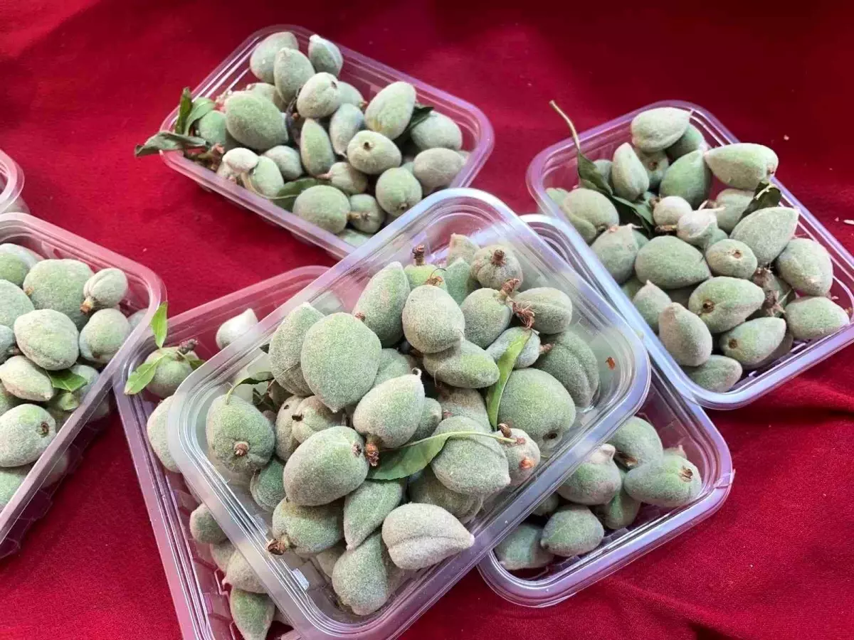 Bursa\'da Badem Çağlası Fiyatları Düştü