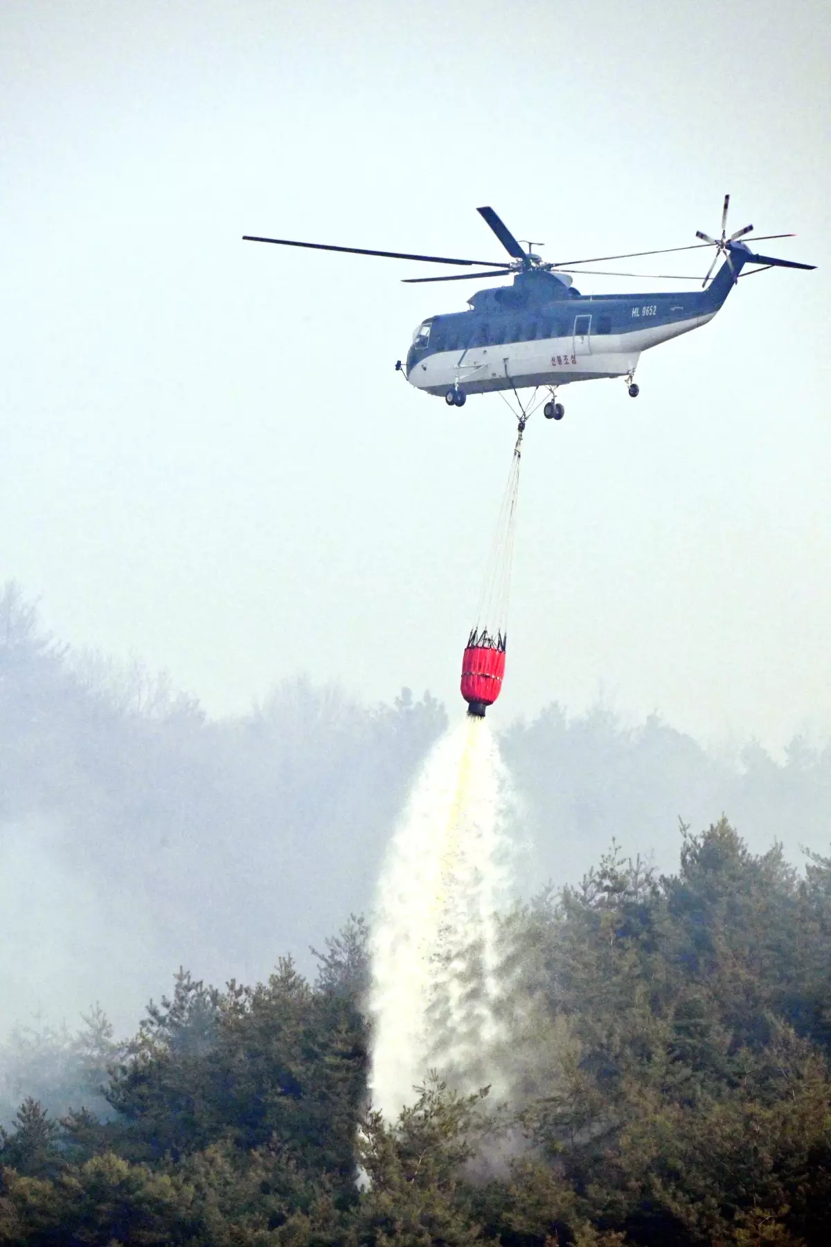 Güney Kore\'deki Orman Yangınları: 18 Ölü
