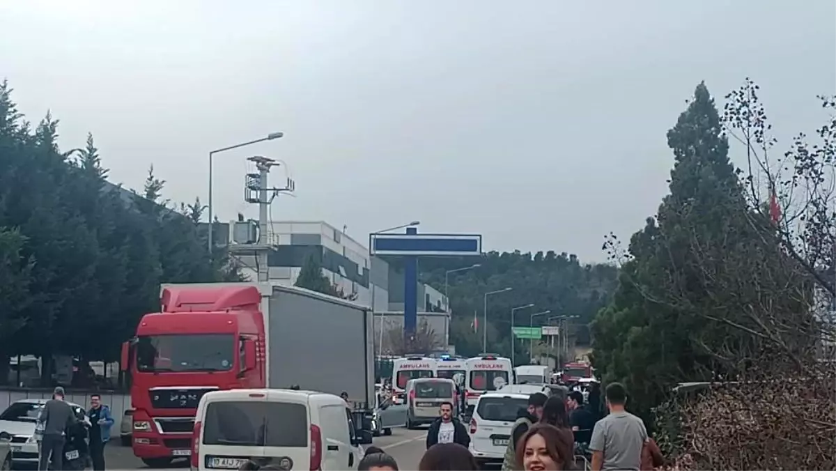 Balıkesir\'de Temizlikten Zehirlenen İşçiler