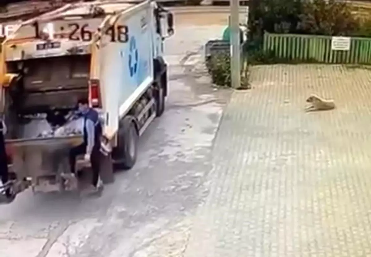 İzmir\'de Çöp Kamyonu Köpeği Ezdi, Sürücü Açığa Alındı