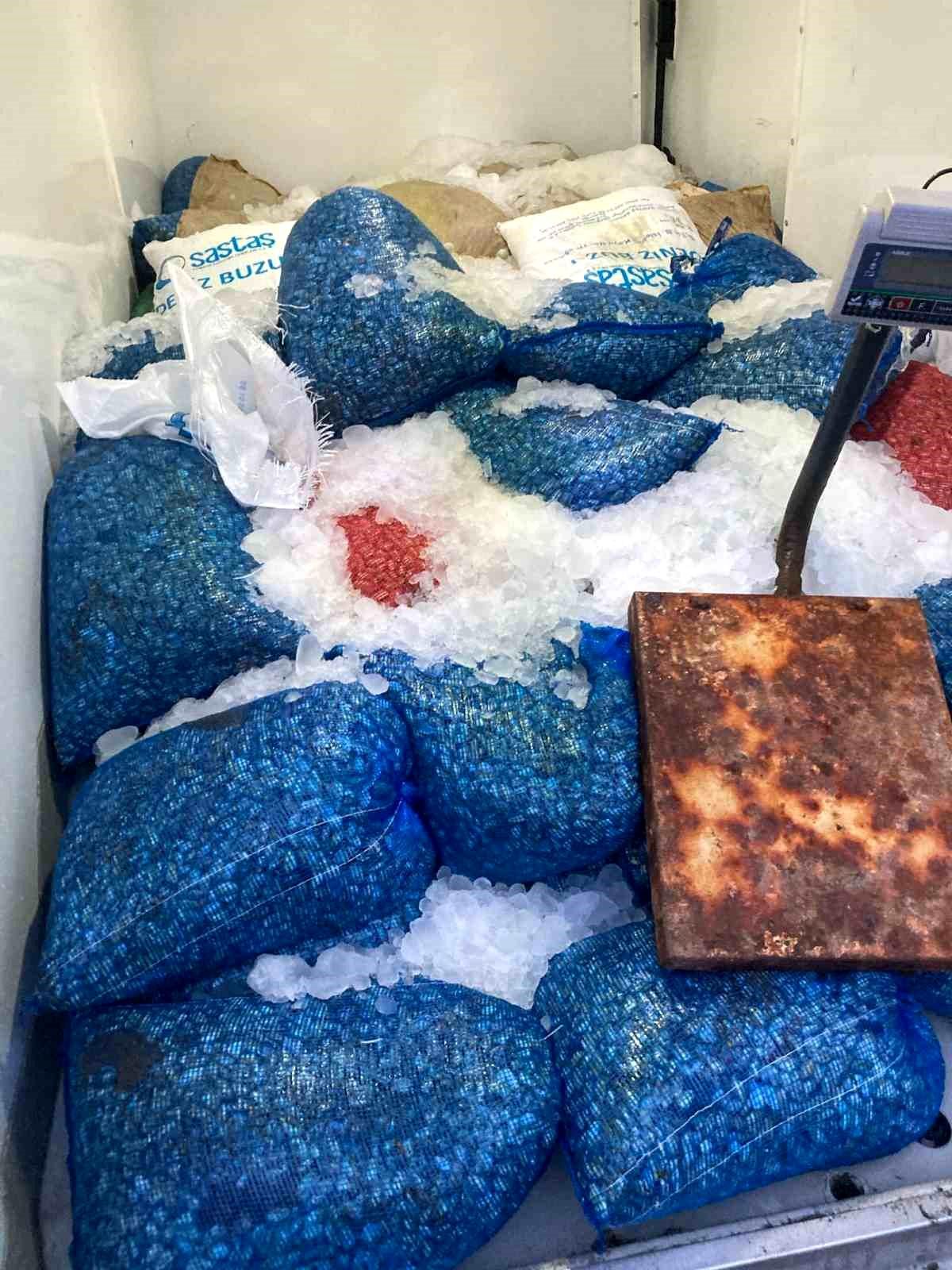 Samsun\'da 1,5 Ton Kaçak Midye Ele Geçirildi