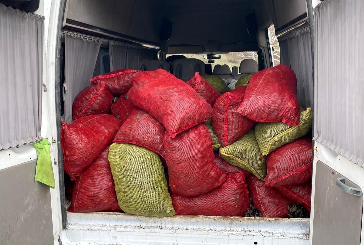 Samsun\'da 2 Ton Kaçak Midye Ele Geçirildi