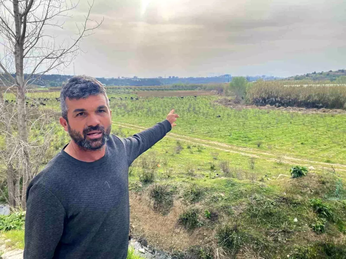 Antalya\'da Çobana Silahlı Saldırı!