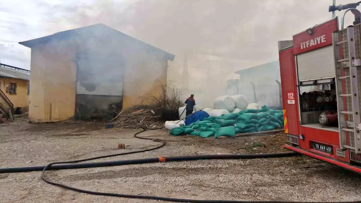 Çorum\'un Alaca İlçesinde Yangın: 1500 Balya Küle Döndü