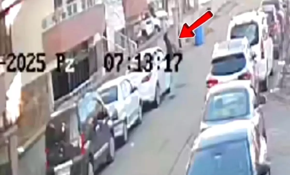 Bingöl\'de Hırsızlık Zanlıları Yakalandı