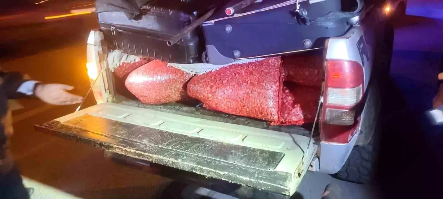 Samsun\'da Kaçak Midye Operasyonu