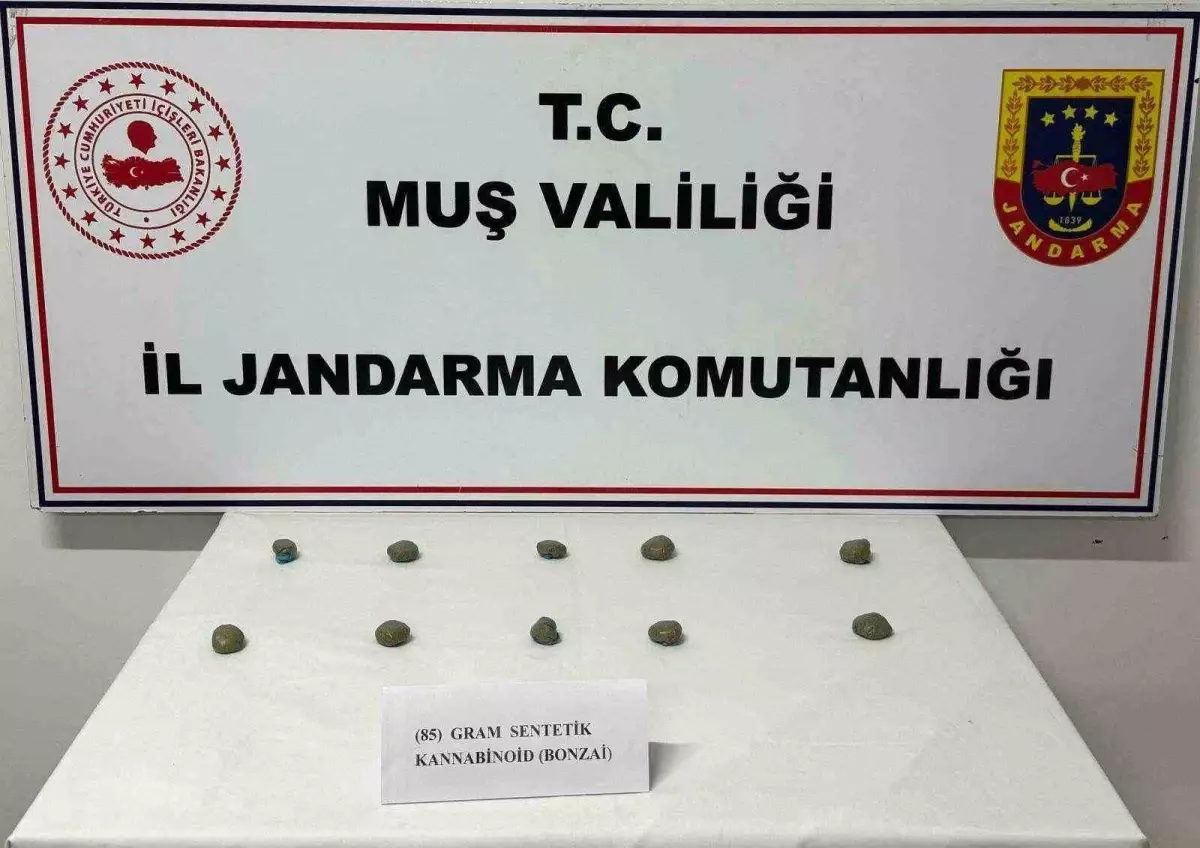 Muş’ta Jandarma Denetiminde 206 Şahıs Yakalandı