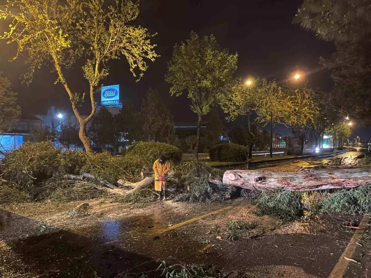 Aydın\'da Şiddetli Yağış ve Fırtınaya Önlem