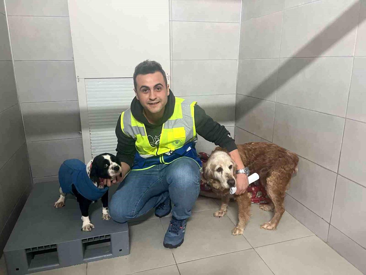Bursa\'da Sokak Hayvanları İçin Bayramda Kesintisiz Hizmet