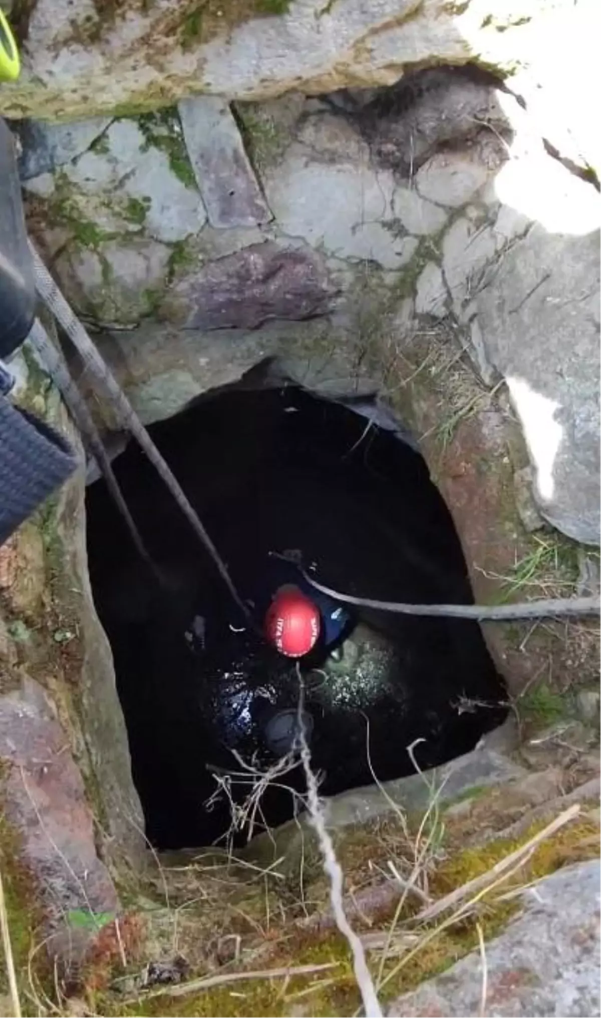 Kayseri\'de Su Kuyusuna Düşen Köpek Kurtarıldı