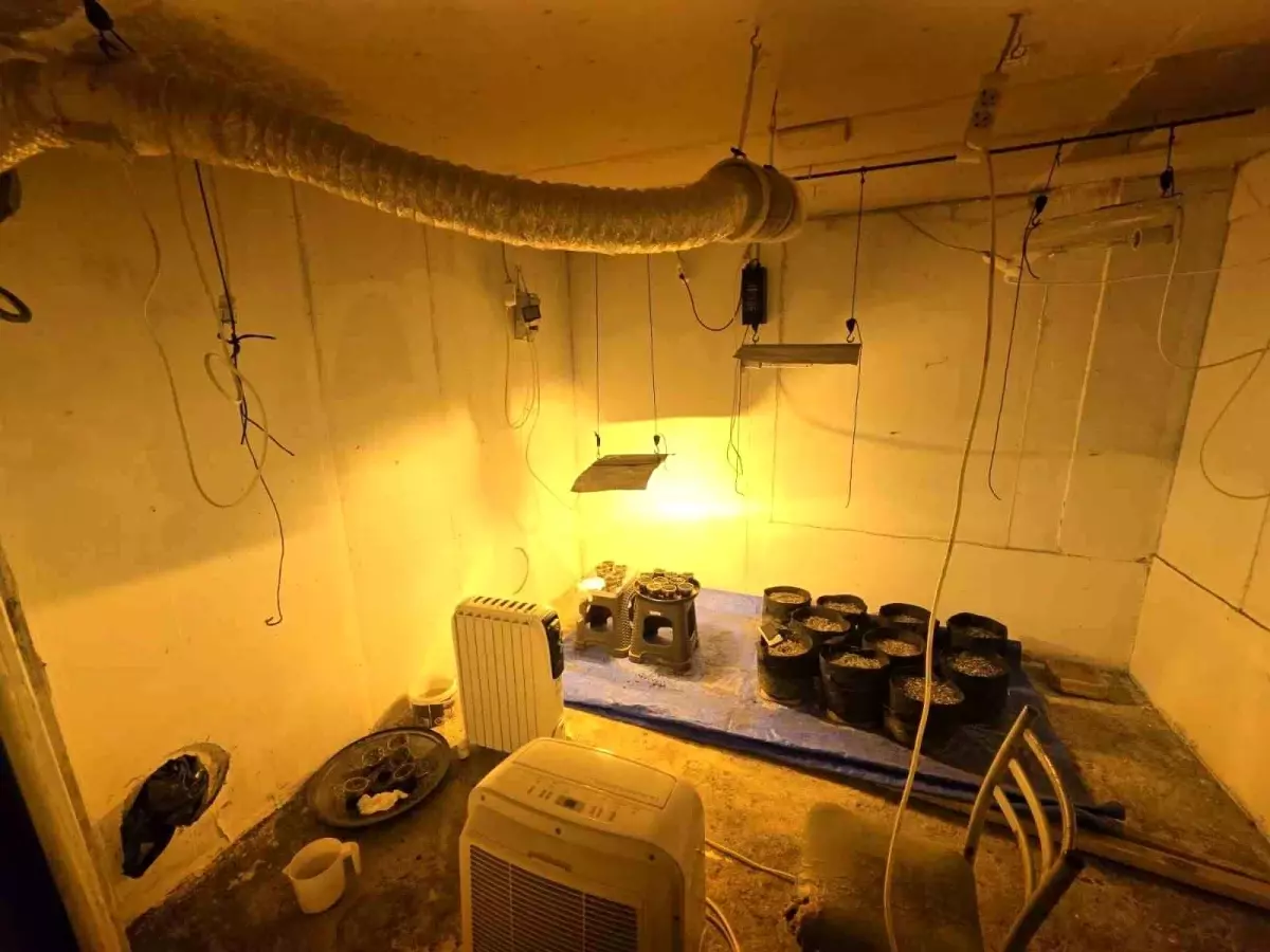 Sakarya\'da Uyuşturucu Operasyonları: 41 Tutuklama