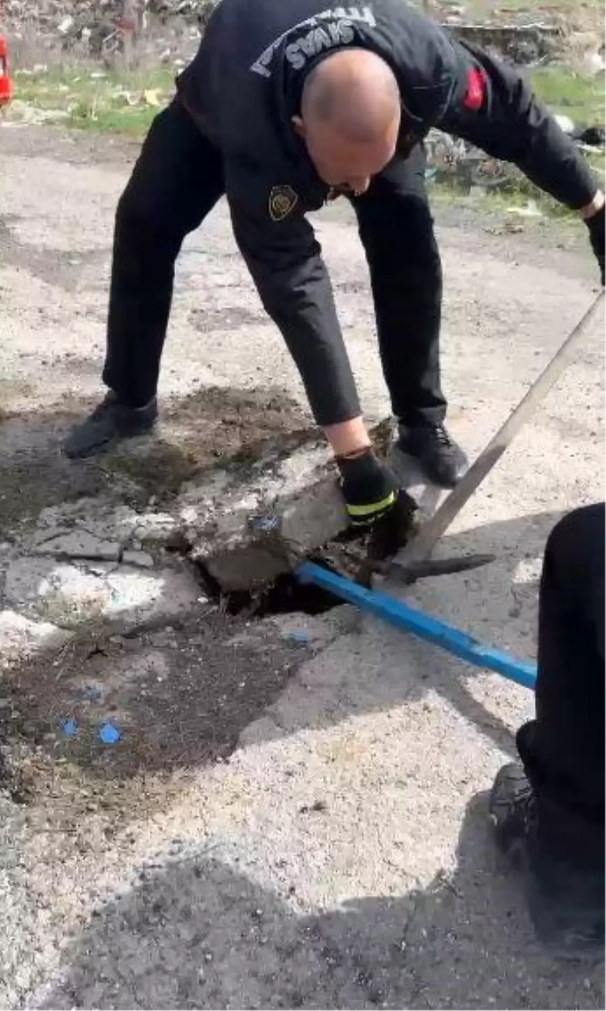 Sivas\'ta Yavru Ördek Kurtarıldı