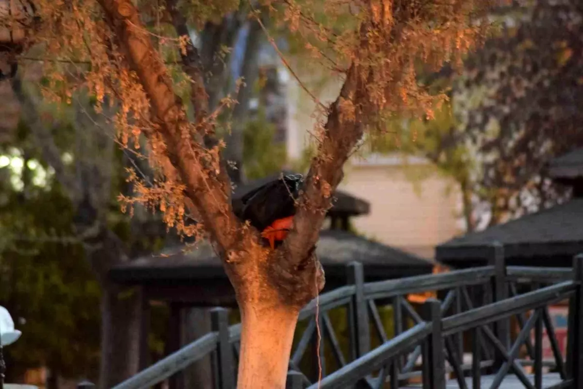 Karaman\'da Şüpheli Çanta Patlatıldı