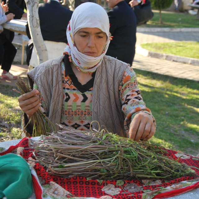 Aydın'da kendiliğinden yetişen bu otlar garibanın cüzdanını, zenginin sofralarını süslüyor
