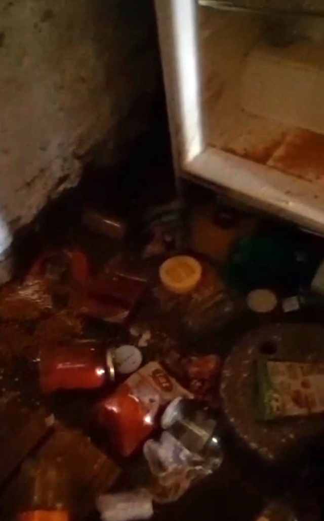 Ortalığı savaş alanına çevirdiler! Kış uykusundan uyanan ayılar evlere dadandı