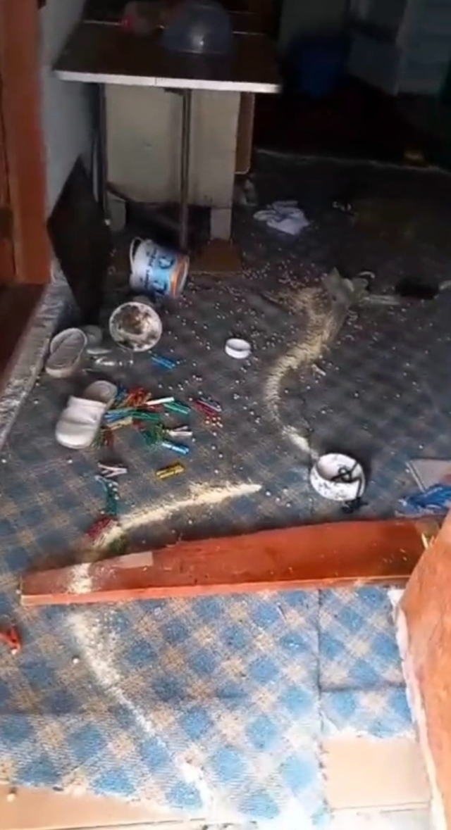 Ortalığı savaş alanına çevirdiler! Kış uykusundan uyanan ayılar evlere dadandı