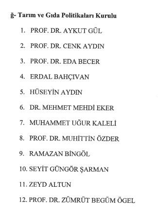 Cumhurbaşkanlığı Politika Kurulu üyeliklerine çok sayıda atama
